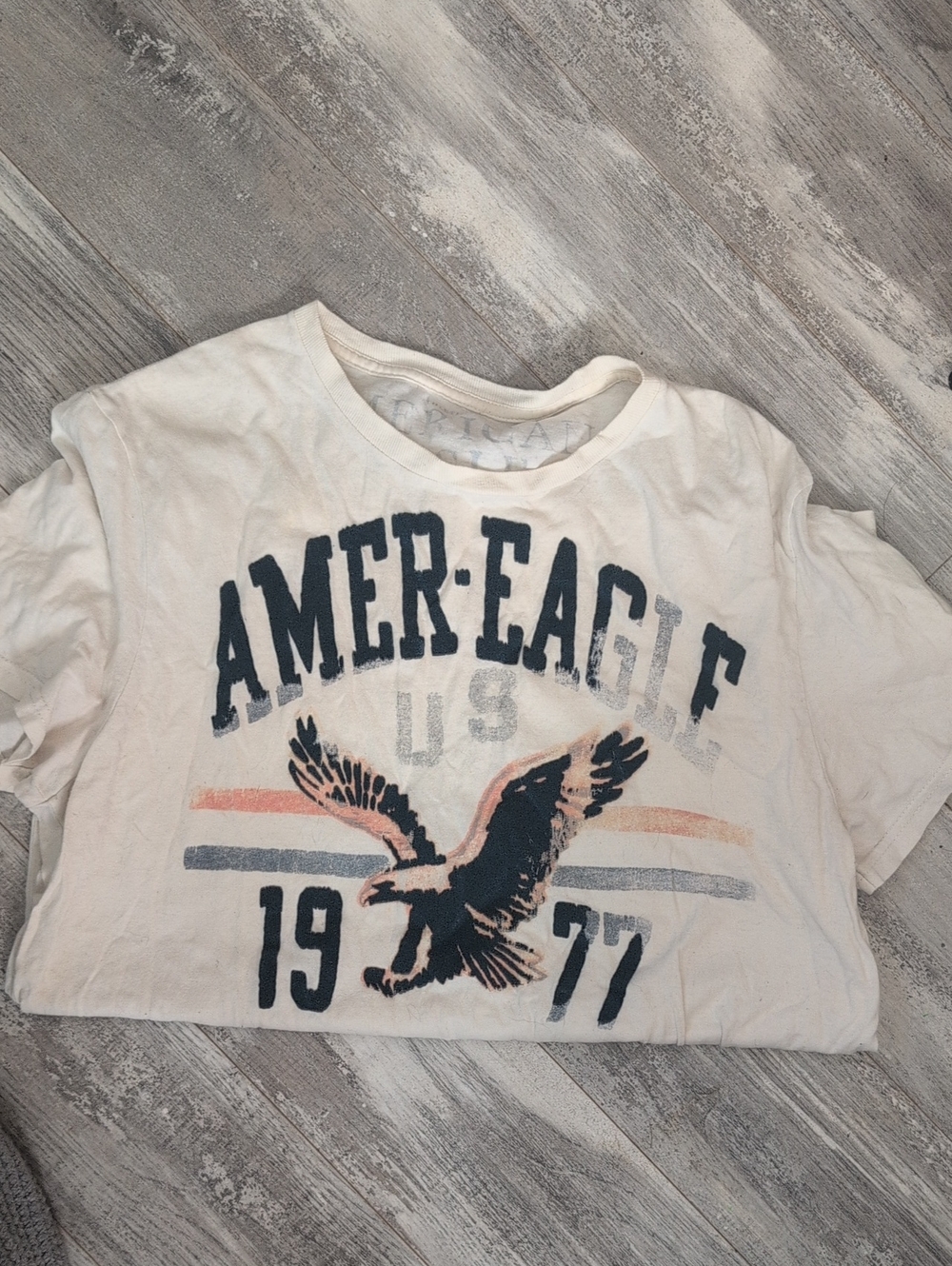American Eagle Outfitters CreamGraphic Mens Tee - Eagle Print